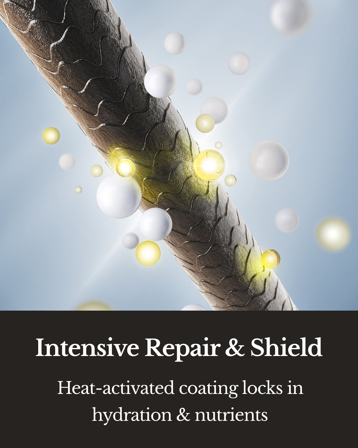 Black - Treatment (Conditioner)