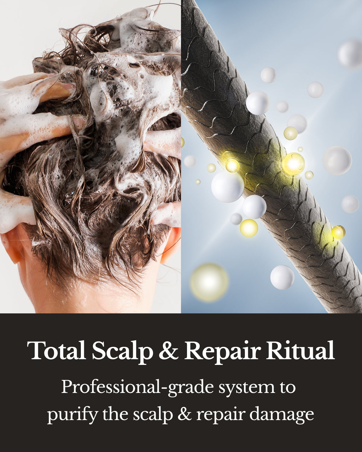 Black - Shampoo & Treatment (Conditioner)