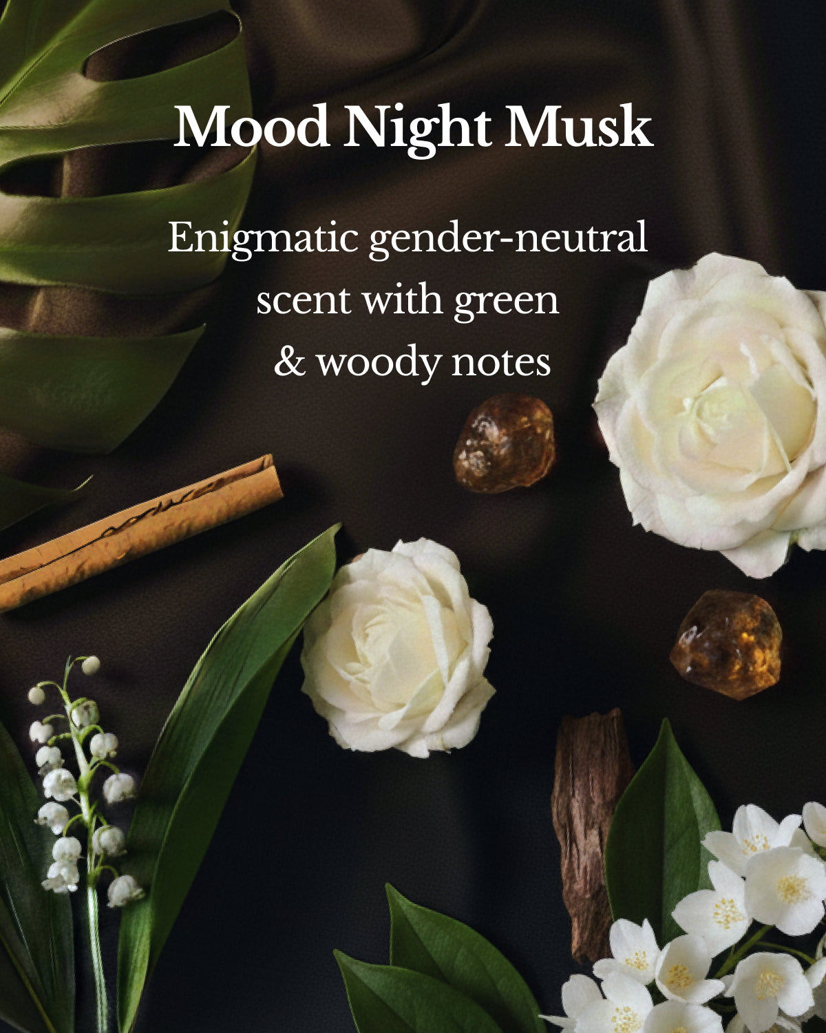 Black - Shampoo & Treatment (Conditioner)