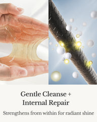 White - Shampoo & Treatment (Conditioner)